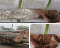 Sahebganj News: कोटालपोखर मार्ग पर भीषण सड़क हादसा