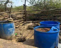 Hazaribagh News: चौपारण में उत्पाद विभाग का बड़ा एक्शन: 2 टन जावा महुआ किया गया नष्ट