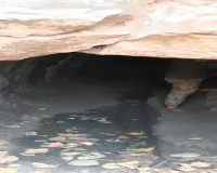 Bokaro News: अवैध कोयला खनन पर छापेमारी, संयुक्त टीम ने कार्रवाई कर बंद कराया स्थल