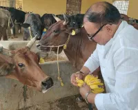 Koderma News: चैत्र नवरात्रि पर समाजसेवी वीरेंद्र यादव ने गौ-सेवा से की नववर्ष की शुरुआत