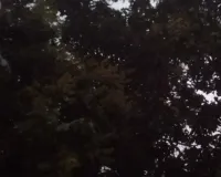 Sahebganj News: हल्के मेघ गर्जन और मध्यम हवा के साथ हल्की बारिश