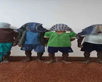 Pakur News: ताड़ का पेड़ काटने को लेकर विवाद, महिला की मौके पर ही मौत