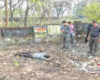 Ramgarh News: बाजार समिति की झाड़ियों में मिला युवक का लहूलुहान शव, हत्या की आशंका