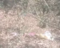 Koderma News: मेघातरी के पास बोरे में बंद मिला महिला का अर्धनग्न शव, हत्या या साजिश?