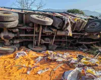 कोडरमा घाटी में दो ट्रकों की टक्कर, मदद छोड़ दाल लूटने की होड़