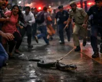 मथुरा रेलवे स्टेशन पर सांप वीडियो वायरल: RPF ने इंफ्लूएंसर पर मुकदमा दर्ज किया, यात्रियों में दहशत