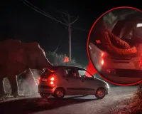 गुस्से में बेकाबू हुआ विशालकाय हाथी, सड़क पर कार को सूंड से हिलाया, देखें वीडियो 