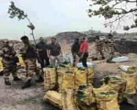 सीआईएसएफ, सीसीएल एवं गांधीनगर थाना की संयुक्त कार्रवाई में करीब 20 टन अवैध कोयला जब्त