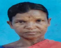 Chaibasa News: बरकुंडीय में जंगली हाथी का हमला, बुजुर्ग महिला की मौत, एक घायल 