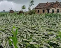 Sahebganj News: आंधी-तूफान ने मचाई भारी तबाही, गेहूं और मक्का की फसलें बर्बाद