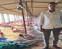 Koderma News: हाथी के उत्पात से लोग परेशान, मुर्गी फार्म में मचाई तबाही