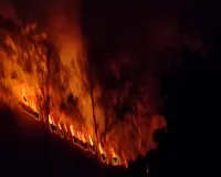 Koderma News: जंगलों में आग का कहर, वन विभाग पर लापरवाही के आरोप