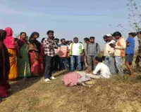 Ramgarh News: हाथियों का खूनी तांडव: तीन ग्रामीणों को कुचला, इलाके में भारी दहशत