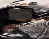 Palamu News: विवाहिता की संदिग्ध परिस्थितियों में मौत, मायके पक्ष ने लगाया हत्या का आरोप