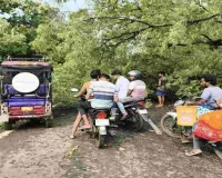 तेज आंधी का कहर: महेशपुर-पाकुड़िया मुख्य पथ पर पेड़ और बिजली के खंभे गिरे, यातायात ठप