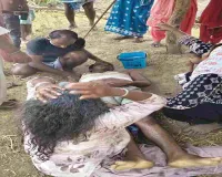 झुंड से बिछड़े गजराज का कहर, 25 साल के युवक को कुचलकर उतारा मौत के घाट, गांव में मातम