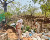 उत्पाद विभाग की बड़ी छापेमारी, अवैध शराब भट्टी ध्वस्त, 2000 किलो जावा महुआ और 90 लीटर शराब जब्त, एक गिरफ्तार