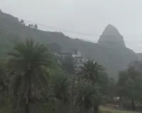 गंगा और डॉल्फिन संरक्षण पर NGT में सुनवाई, अरशद नसर को मिला एक माह का समय