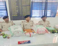 Palamu News: पुलिस की बड़ी कार्रवाई: पांकी में भारी मात्रा में गांजा और करीब 2 लाख नकद बरामद