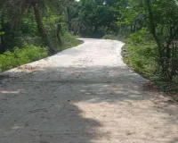 Pakur News: भ्रष्टाचार की भेंट चढ़ी सड़क, फतेहपुर में 6 महीने में ही दम तोड़ने लगी नई पीसीसी सड़क