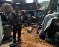 Hazaribagh News: अवैध शराब के विरुद्ध उत्पाद विभाग की सघन छापेमारी, 1200 किलो जावा महुआ विनष्ट