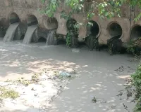 बोकारो थर्मल पावर स्टेशन से फिर दामोदर नदी में प्रदूषण का आरोप, सरयू राय ने मांगी कार्रवाई