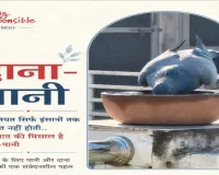 बेज़ुबानों को पिला रहे पानी, इंसानियत की मिसाल बनी “दाना-पानी” पहल