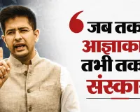 राष्ट्रपति से मुलाकात के बाद चड्ढा का बड़ा आरोप, ‘AAP बनी बदले की राजनीति का चेहरा’