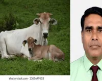 क्या गाय को ‘राष्ट्रीय पशु’ घोषित करना सही होगा? जानिए पक्ष और विपक्ष