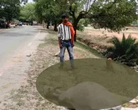सरिया में बिजली विभाग की बड़ी लापरवाही, हाईटेंशन तार गिरते ही बैल जिंदा जला, मुआवजे की मांग तेज