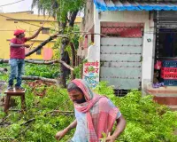 Sahebganj News: आंधी-बारिश का कहर: बिजली के तारों पर गिरा नीम का पेड़, आपूर्ति ठप