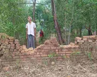 Giridih News: 30 हाथियों के झुंड ने किसानों की 8 एकड़ फसल रौंदी, घरों को पहुंचाया नुकसान