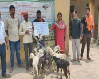 Koderma News: मुख्यमंत्री पशुधन विकास योजना की धूम, लाभुकों के बीच बकरे और ब्रॉयलर मुर्गी का वितरण