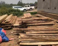 Koderma News: वन विभाग की अब तक की सबसे बड़ी कार्रवाई, एसपी आवास के पीछे घर में चल रहे अवैध लकड़ी गोदाम का भंडाफोड़