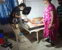 Dumka News: कारूडीह शिव मंदिर के पास सड़क हादसा, दो युवक गंभीर रूप से घायल