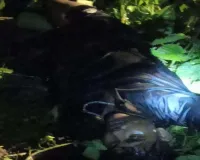 बीएसएफ की फायरिंग में बांग्लादेशी तस्कर ढेर, त्रिपुरा सीमा पर बढ़ा तनाव
