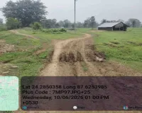 Pakur News: पाकुड़िया में कीचड़ से बदहाल ग्रामीण सड़कें, डस्ट गिराकर मरम्मत की मांग