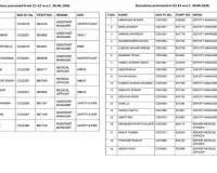 बीएसएल में 123 अधिकारियों को पदोन्नति, ई-1 से ई-5 ग्रेड तक जारी हुए प्रमोशन आदेश