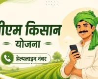 PM Kisan 23rd Installment: खाते में नहीं आए ₹2,000? तुरंत करें इस नंबर पर कॉल, मिनटों में मिलेगी जानकारी