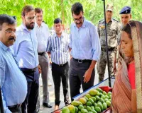 Koderma News: समाहरणालय में पलाश मार्ट कैनोपी स्टॉल का आगाज, बिरसा हरित ग्राम योजना के आमों की मची धूम
