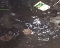 टूटी पाइपलाइन बनी मुसीबत, वार्ड-19 में पेयजल संकट गहराया