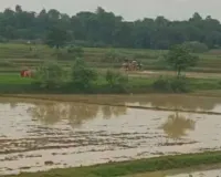 साहिबगंज में झमाझम बारिश से किसानों के चेहरे खिले, युद्ध स्तर पर शुरू हुई धान रोपाई