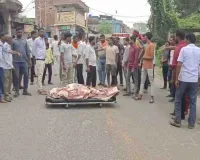 Giridih News: शटडाउन के बीच बिजली आपूर्ति चालू होने से केजुअल कर्मी सरयू पंडित की मौत