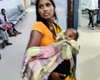 Koderma News: परसाबाद गांव में 2 वर्षीय मासूम पर पागल कुत्ते का हमला, गंभीर रूप से घायल
