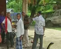 Sahebganj News: सांप के काटने से 13 वर्षीय छात्र अभिषेक कुमार की दर्दनाक मौत