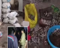 Koderma News: पुलिस और खनन विभाग की बड़ी कार्रवाई, 160 किलो कीमती ब्लू स्टोन जब्त
