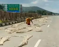 Sahibganj News: NH-80 पर अतिक्रमण से परेशानी, सड़क पर सुखाया जा रहा पटसन