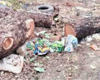 Sahebganj News: वन विभाग के आश्वासन के बाद भी गायब हुई लकड़ी, ग्रामीणों में भारी आक्रोश