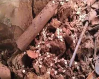 Hazaribagh News: अमनारी में मिट्टी का पुराना घर धंसा, चांदी के सिक्कों से भरा कलश मिलने की सूचना से मचा हड़कंप