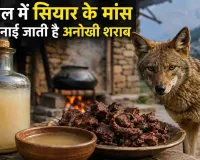 सियार के मांस वाली शराब! नेपाल की अनोखी परंपरा ने खींचा लोगों का ध्यान